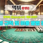 바카라 (Baccarat) 게임 이란 기본 규칙 및 이용 방법 안내